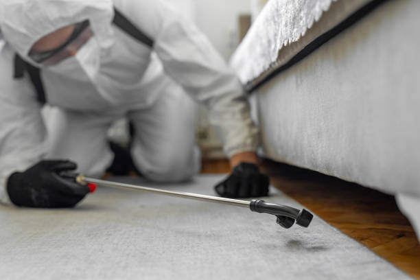 Professional Wasp Control technician working in Mustang Ridge, TX