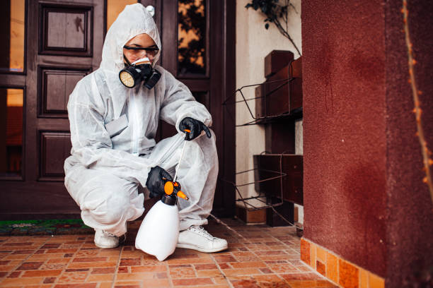 Reliable Emergency Pest Control contractor in Mustang Ridge, TX by Nex Pest Control