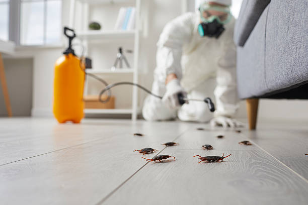 Trusted Fumigation Services service in Mustang Ridge, TX - Nex Pest Control