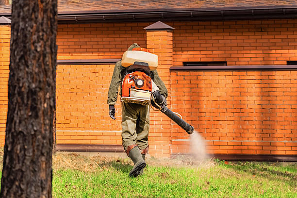 Trusted Bed Bug Control service in Mustang Ridge, TX - Nex Pest Control